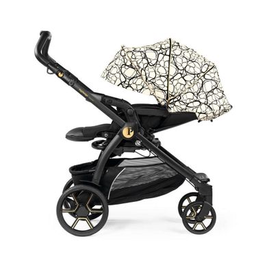 Коляска 2 в 1 Peg-Perego Culla Elite Book Grafic Gold