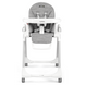 Стільчик Peg Perego Prima Pappa Wonder Grey Follow Me