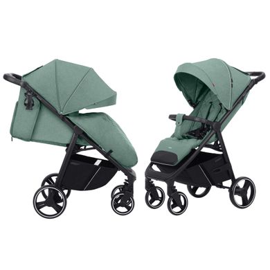 Прогулочная коляска Carrello Bravo 2023 CRL-8512 Spring Green